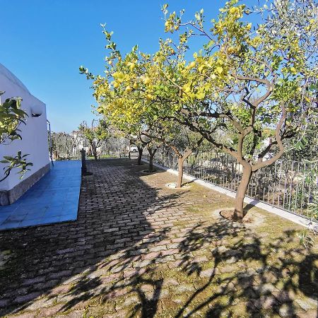 Tenuta Solleone Peschici Kültér fotó