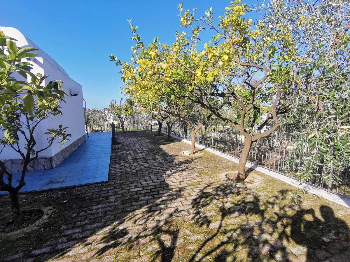 Tenuta Solleone Peschici Kültér fotó