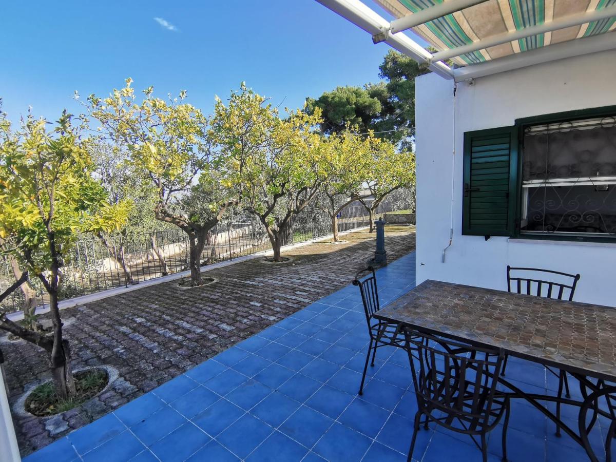 Tenuta Solleone Peschici Kültér fotó