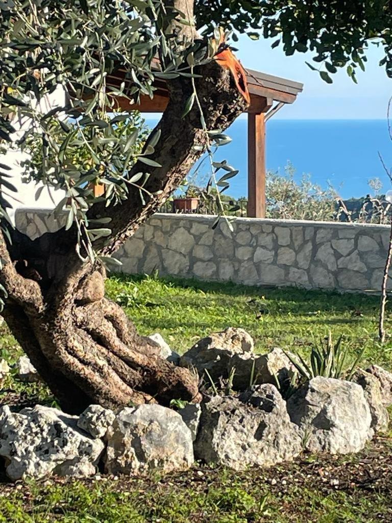 Tenuta Solleone Peschici Kültér fotó